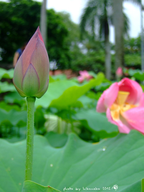 DSCF7065 DSCF7065