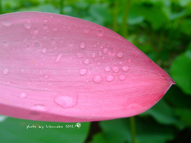 DSCF7077 DSCF7077