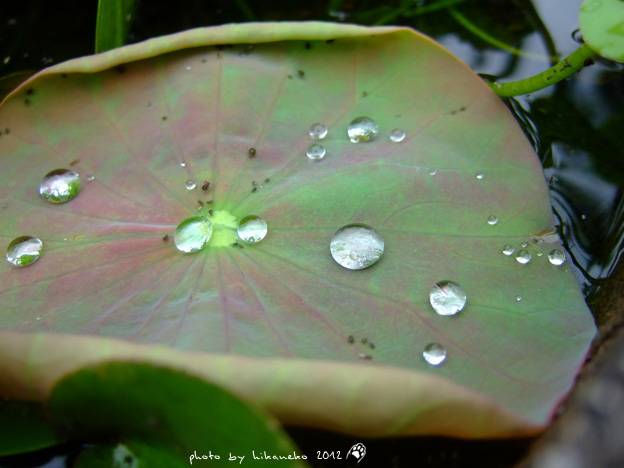 DSCF7087 DSCF7087