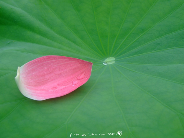 DSCF7089 DSCF7089