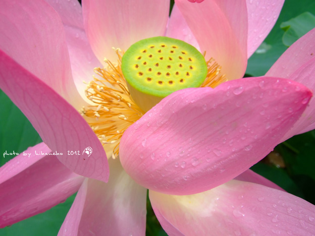 DSCF7153 DSCF7153