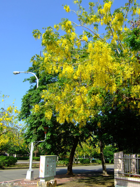 DSCF7207 DSCF7207