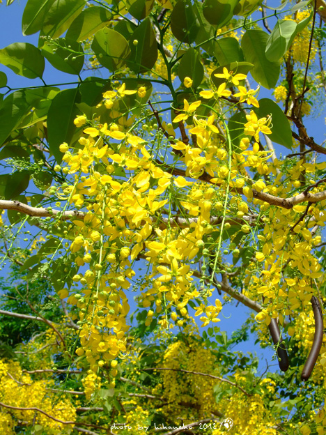DSCF7209 DSCF7209