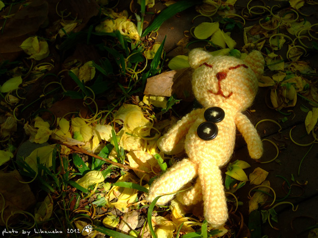DSCF7230 DSCF7230