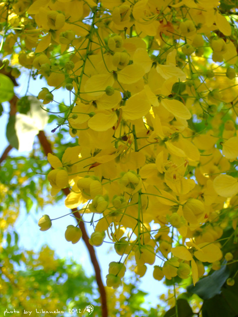 DSCF7241 DSCF7241