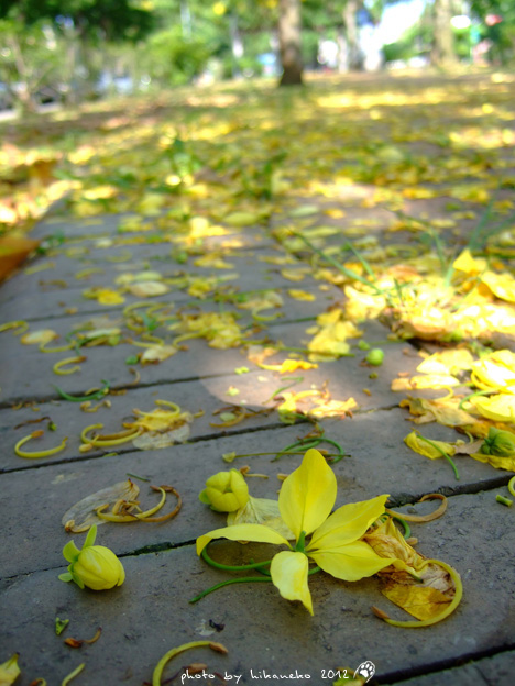 DSCF7249 DSCF7249