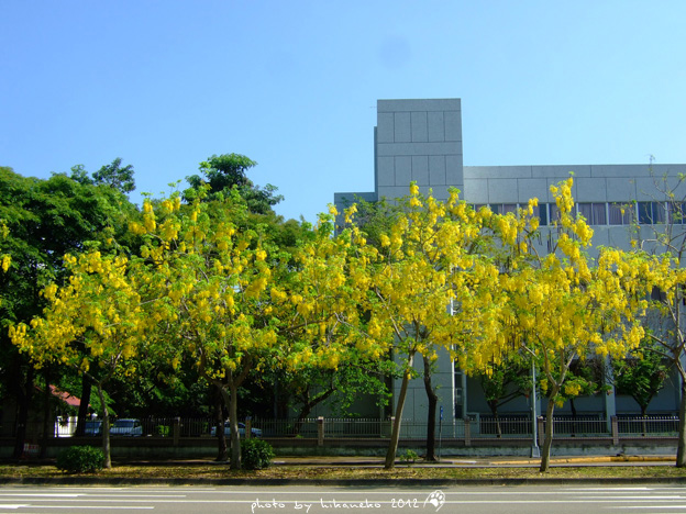 DSCF7262 DSCF7262