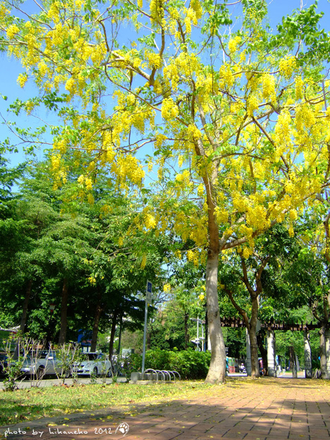 DSCF7269 DSCF7269