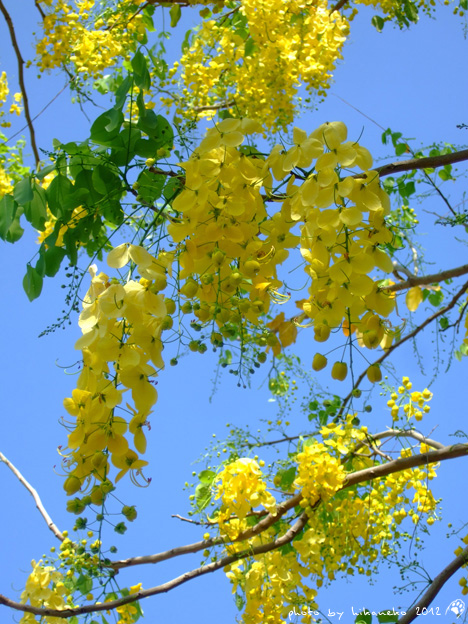 DSCF7308 DSCF7308