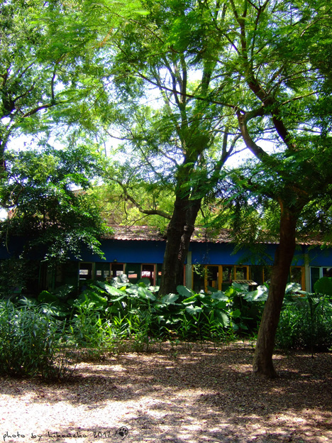 DSCF7397 DSCF7397