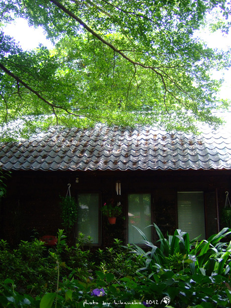 DSCF7405 DSCF7405