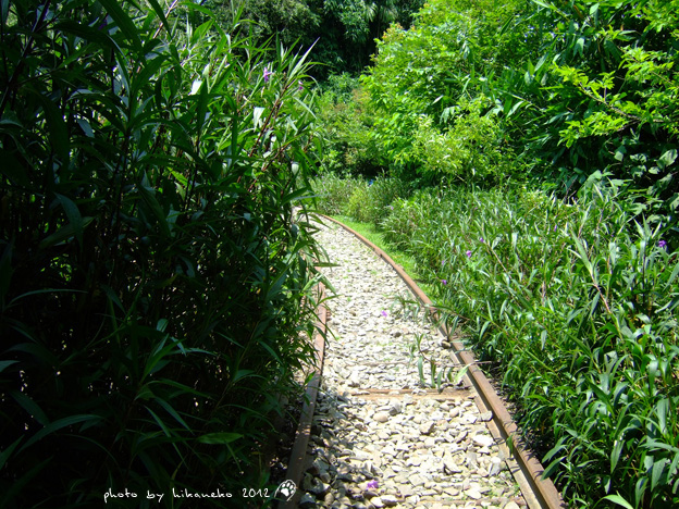 DSCF7427 DSCF7427