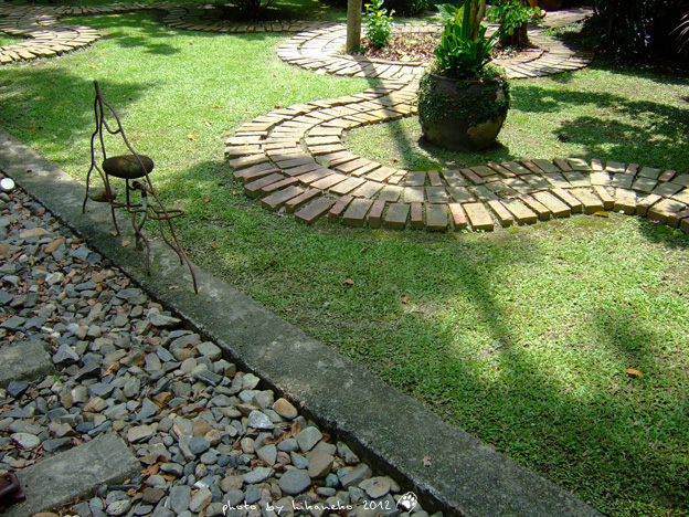 DSCF7433 DSCF7433