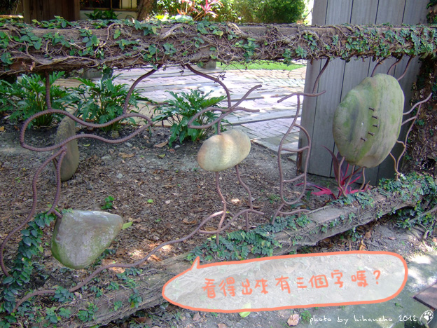 DSCF7450 DSCF7450