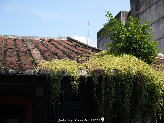 P1000059 P1000059