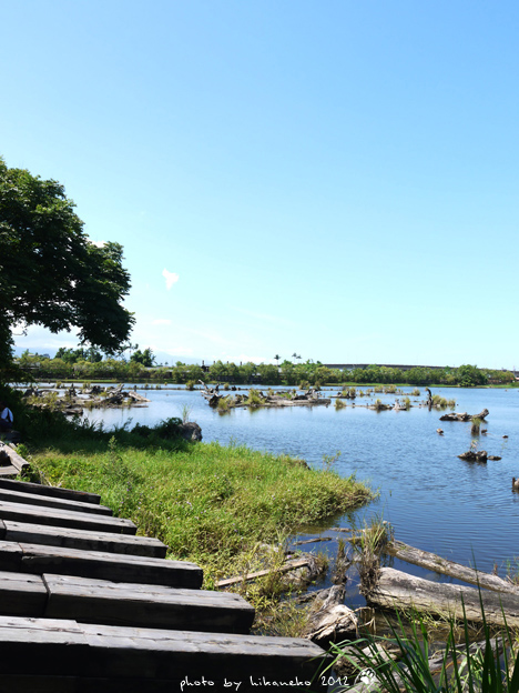 P1000231 P1000231