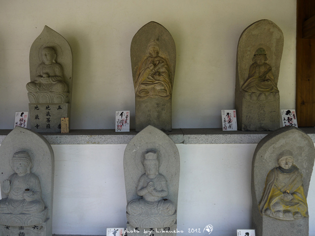 P1000762 P1000762