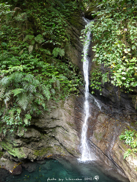 P1000962 P1000962