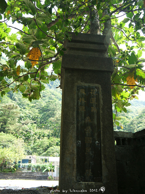 P1010120 P1010120