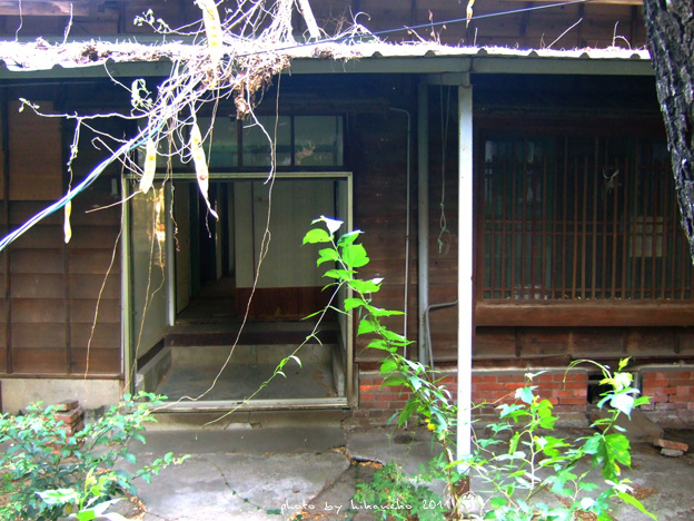 DSCF2725 DSCF2725
