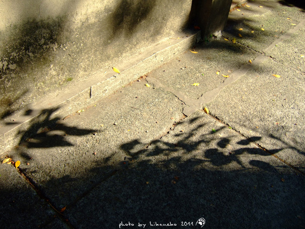 DSCF2735 DSCF2735