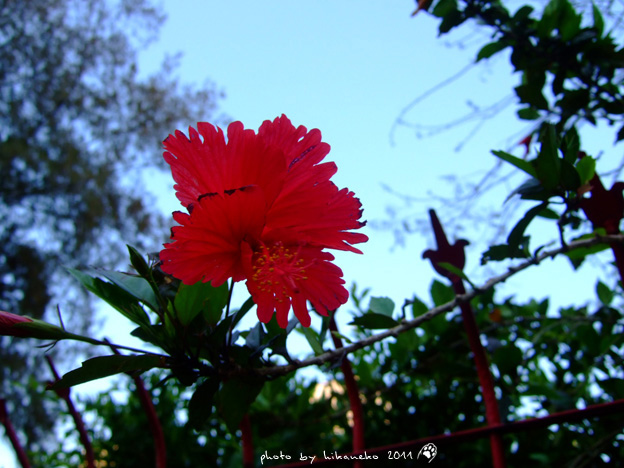 DSCF2744 DSCF2744