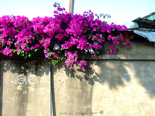 DSCF2752 DSCF2752