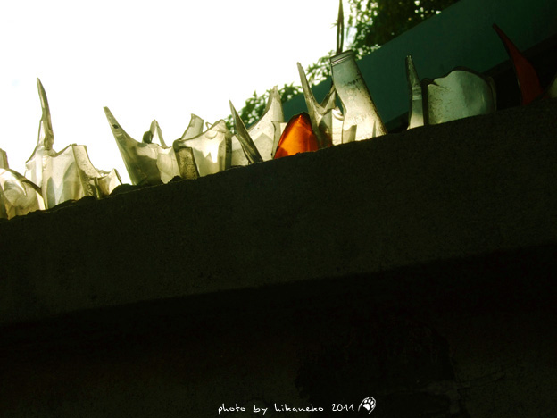DSCF2764 DSCF2764