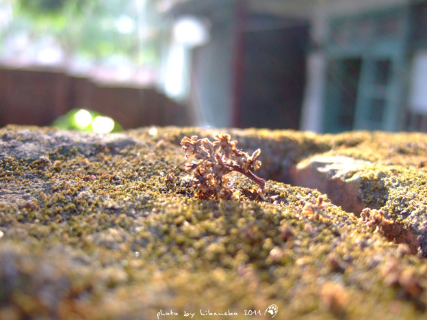 DSCF2780 DSCF2780
