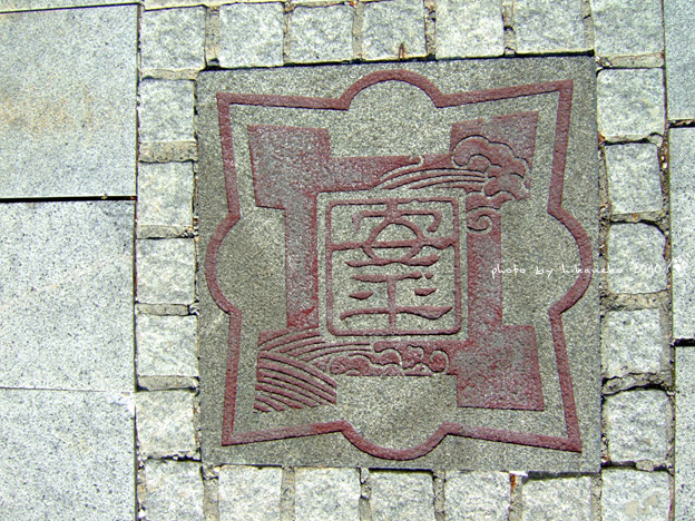 DSCF8535