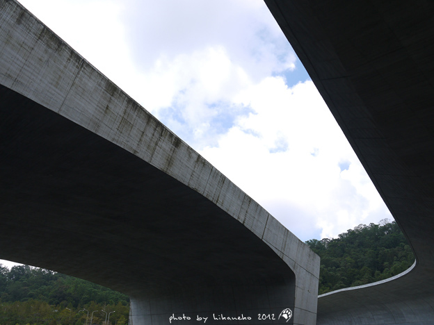 P1020631 P1020631