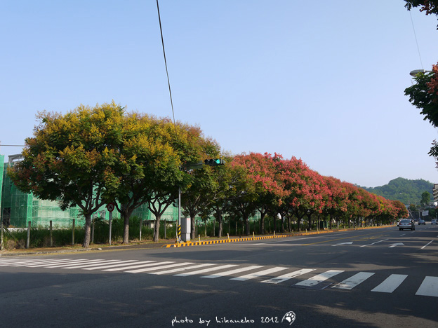 P1020806 P1020806