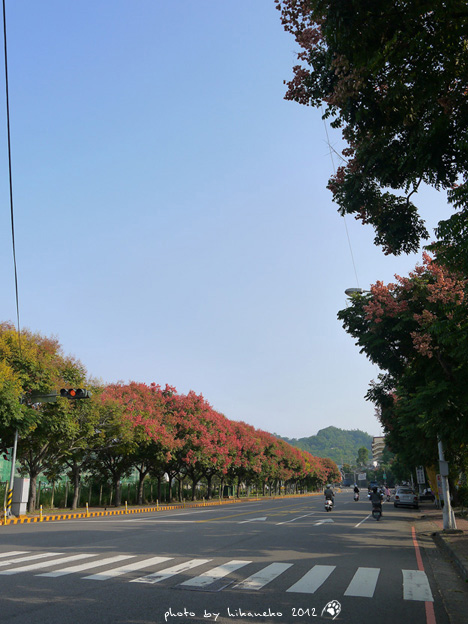 P1020807 P1020807