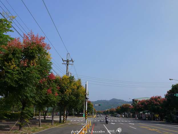 P1020871 P1020871
