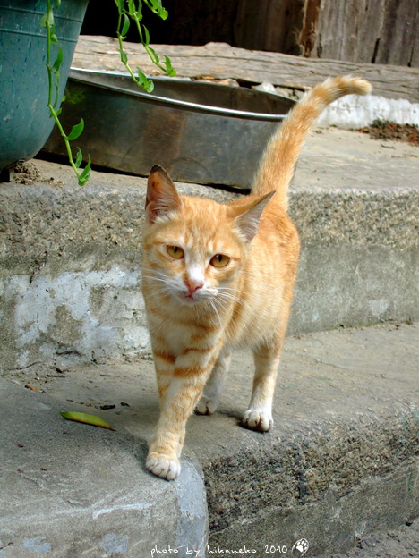 DSCF8759 DSCF8759