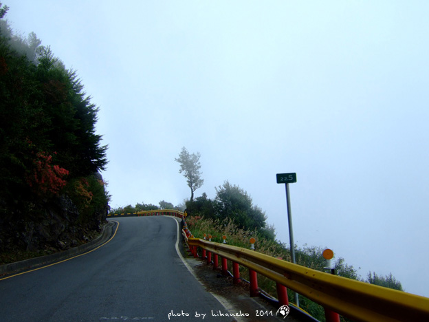 DSCF4397 DSCF4397