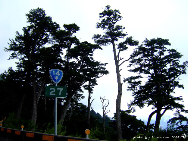 DSCF4402 DSCF4402