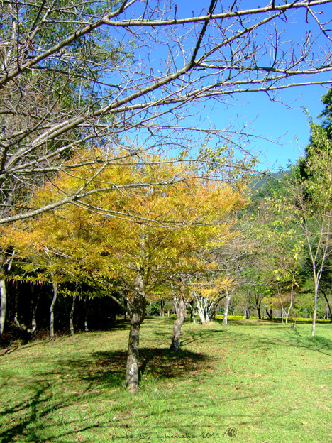 DSCF4236 DSCF4236