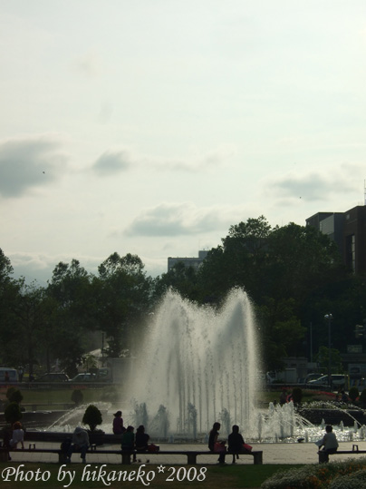 DSCF3207 DSCF3207