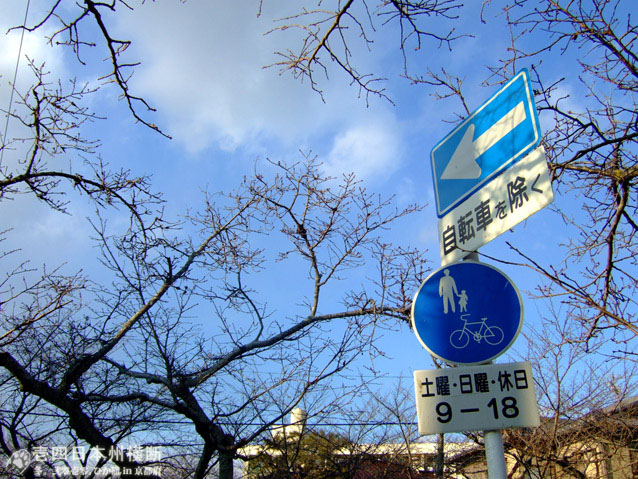 DSCF6816.jpg DSCF6816.jpg