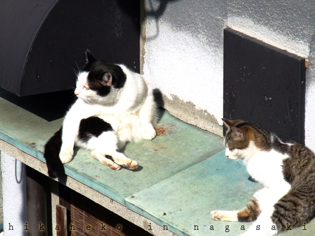 DSCF0820.JPG DSCF0820.JPG