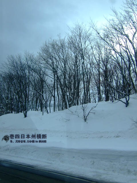 DSCF5404.jpg DSCF5404.jpg