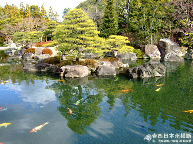 DSCF6386.jpg DSCF6386.jpg