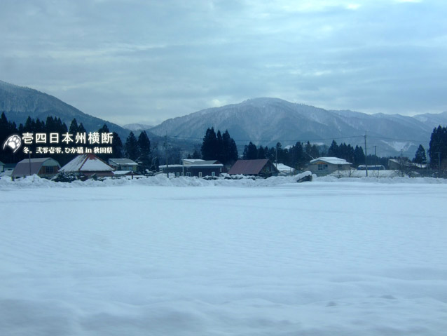 DSCF5387.jpg DSCF5387.jpg