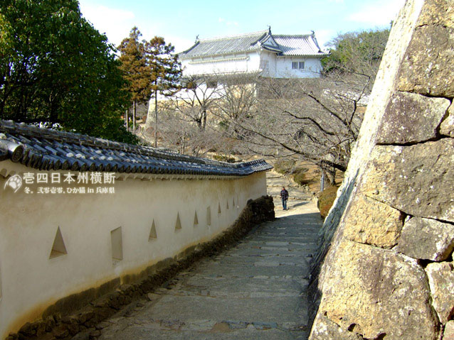 DSCF6307.jpg DSCF6307.jpg