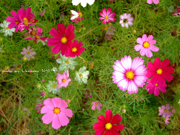 DSCF9357.jpg DSCF9357.jpg