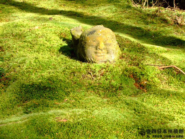DSCF6633.jpg DSCF6633.jpg