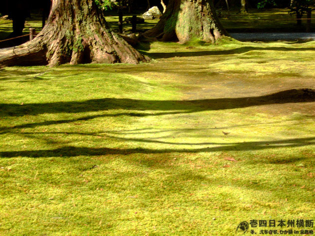 DSCF6660.jpg DSCF6660.jpg