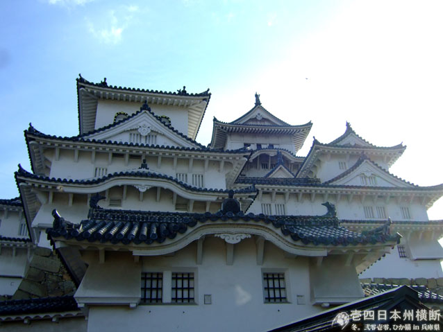 DSCF6317.jpg DSCF6317.jpg
