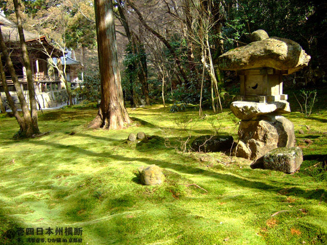 DSCF6634.jpg DSCF6634.jpg